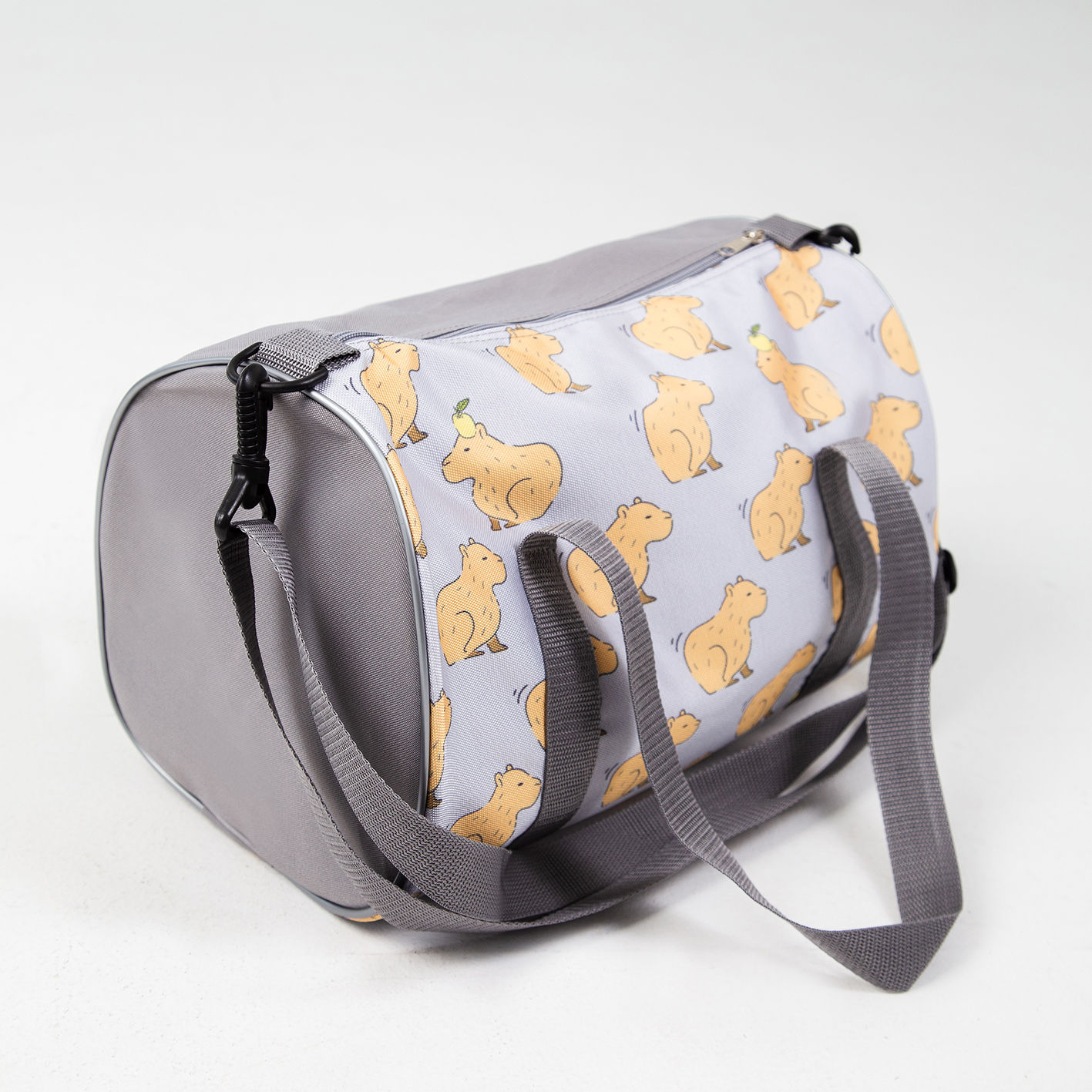 Блик 2 капибара 0434